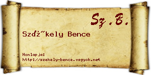 Székely Bence névjegykártya